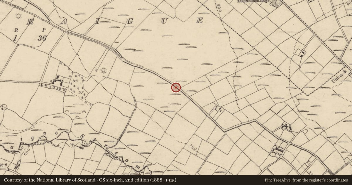 Ordnance Survey six-inch map, 2nd edition (1888–1915) covering the location of Fulacht fia, Carragraigue, County Cork, with a pin at the register's coordinates