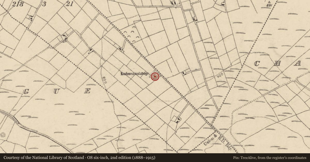 Ordnance Survey six-inch map, 2nd edition (1888–1915) covering the location of Ringfort - rath, Muingyroogeen, County Cork, with a pin at the register's coordinates