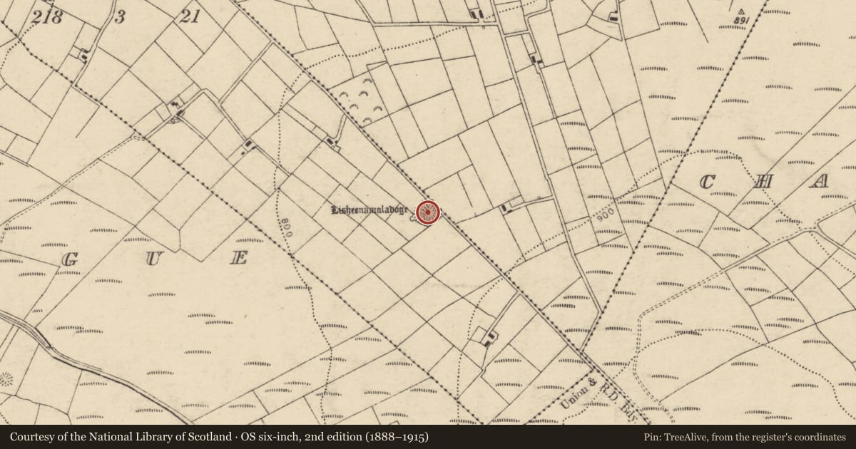 Ordnance Survey six-inch map, 2nd edition (1888–1915) covering the location of Souterrain, Muingyroogeen, County Cork, with a pin at the register's coordinates