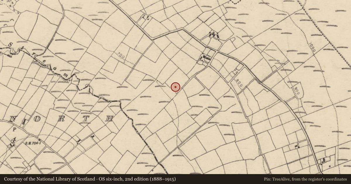 Ordnance Survey six-inch map, 2nd edition (1888–1915) covering the location of Fulacht fia, Carragraigue, County Cork, with a pin at the register's coordinates