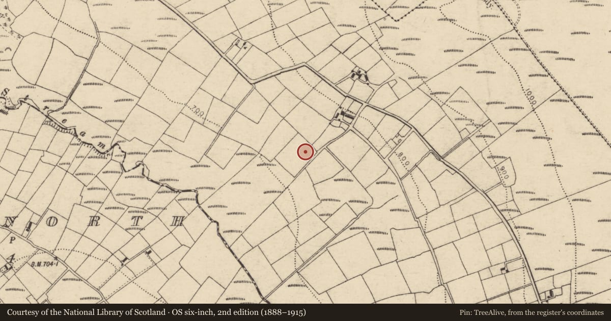 Ordnance Survey six-inch map, 2nd edition (1888–1915) covering the location of Fulacht fia, Carragraigue, County Cork, with a pin at the register's coordinates