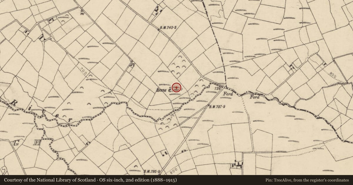 Ordnance Survey six-inch map, 2nd edition (1888–1915) covering the location of Anomalous stone group, Crinnaloo North, County Cork, with a pin at the register's coordinates
