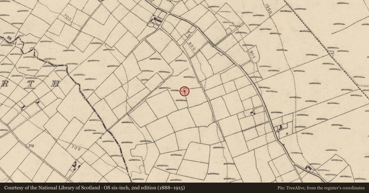 Ordnance Survey six-inch map, 2nd edition (1888–1915) covering the location of Fulacht fia, Carragraigue, County Cork, with a pin at the register's coordinates