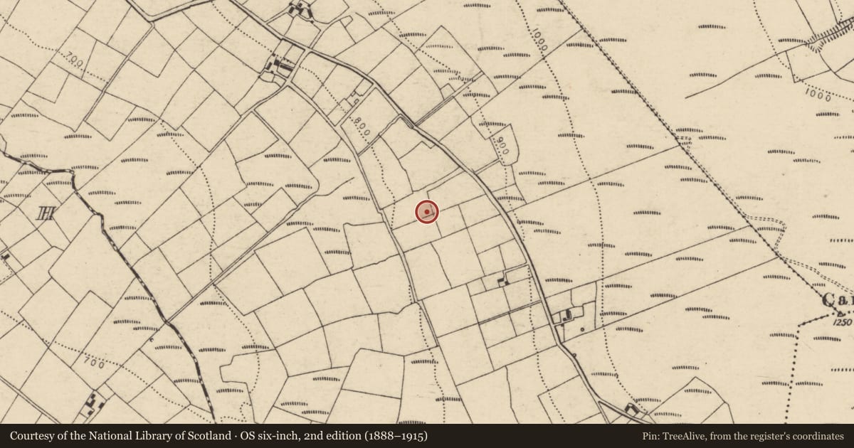 Ordnance Survey six-inch map, 2nd edition (1888–1915) covering the location of Fulacht fia, Carragraigue, County Cork, with a pin at the register's coordinates