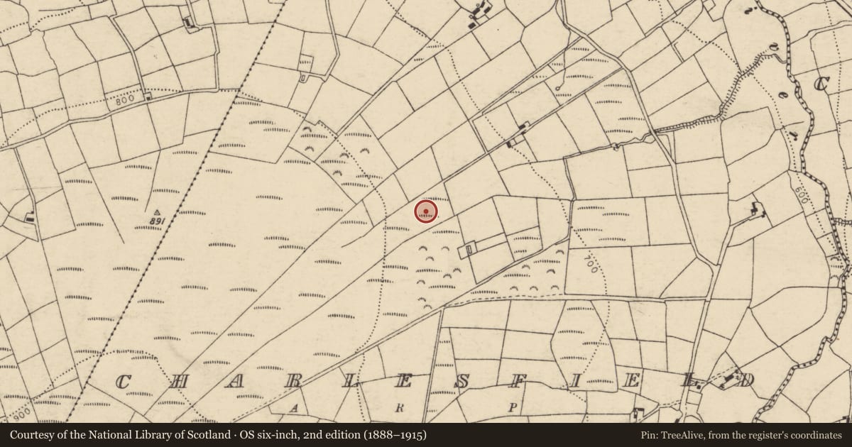 Ordnance Survey six-inch map, 2nd edition (1888–1915) covering the location of Ringfort - rath, Charlesfield, County Cork, with a pin at the register's coordinates