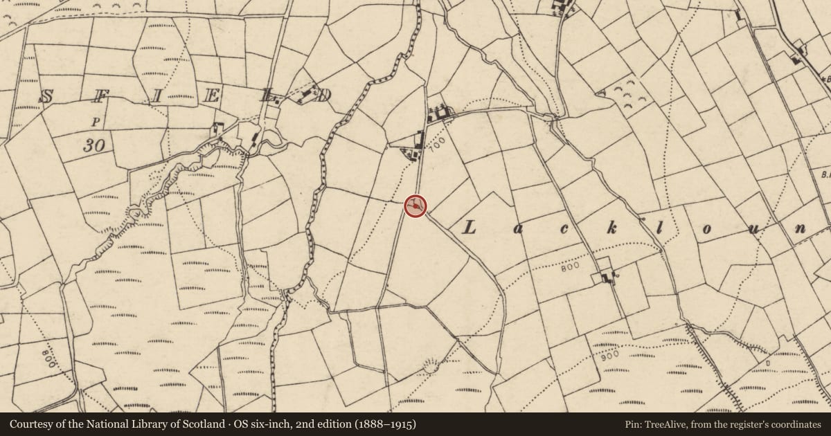 Ordnance Survey six-inch map, 2nd edition (1888–1915) covering the location of Kiln - lime, Coolroe More, County Cork, with a pin at the register's coordinates