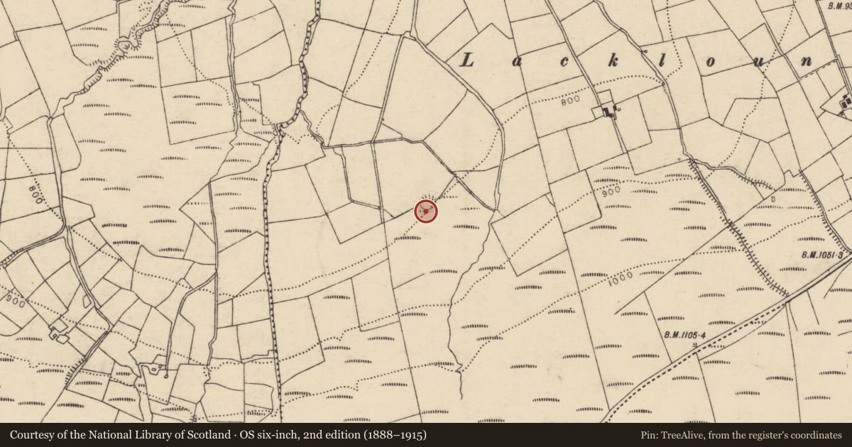 Ordnance Survey six-inch map, 2nd edition (1888–1915) covering the location of Ringfort - rath, Coolroe More, County Cork, with a pin at the register's coordinates