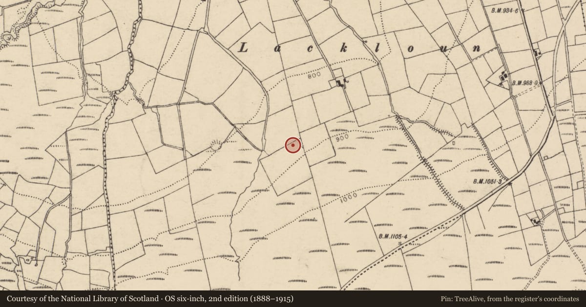 Ordnance Survey six-inch map, 2nd edition (1888–1915) covering the location of Ringfort - rath, Coolroe More, County Cork, with a pin at the register's coordinates