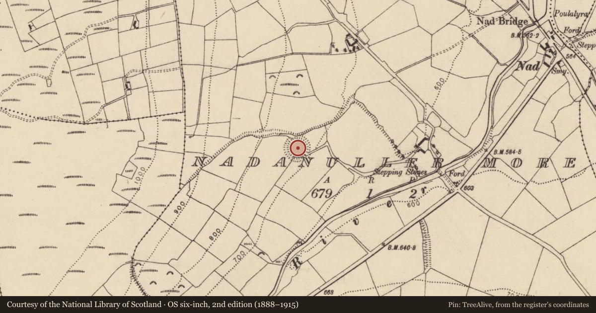 Ordnance Survey six-inch map, 2nd edition (1888–1915) covering the location of Souterrain, Nadanuller More, County Cork, with a pin at the register's coordinates