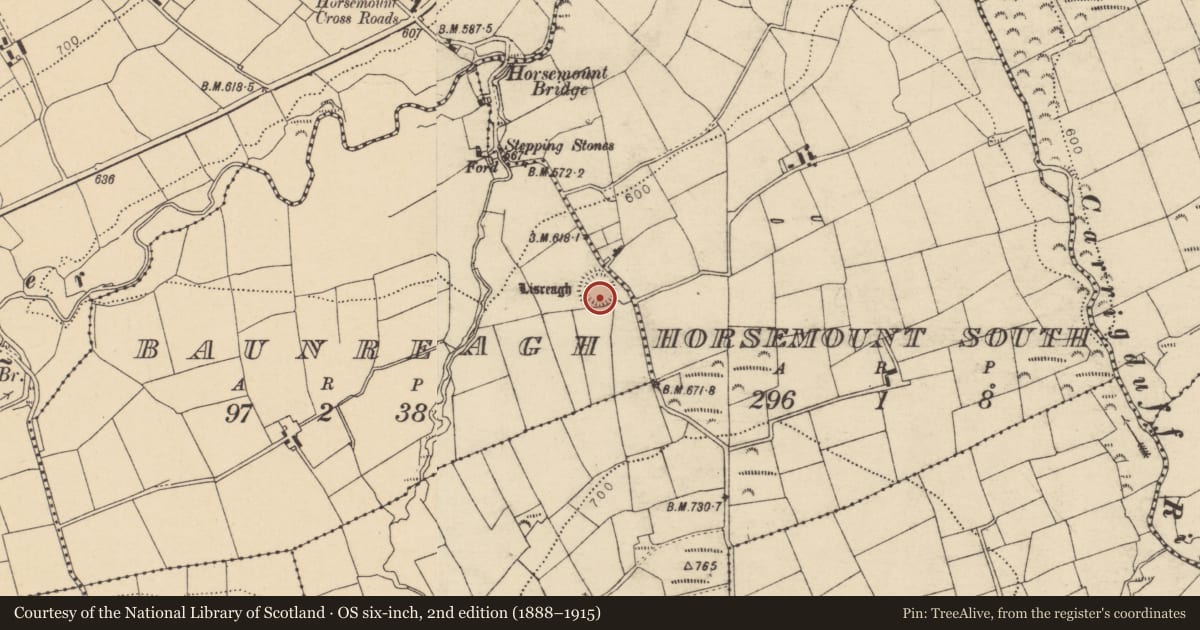 Ordnance Survey six-inch map, 2nd edition (1888–1915) covering the location of Ringfort - rath, Baunreagh, County Cork, with a pin at the register's coordinates