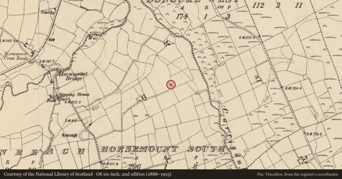 Ordnance Survey six-inch map, 2nd edition (1888–1915) covering the location of Ringfort - rath, Horsemount South, County Cork, with a pin at the register's coordinates