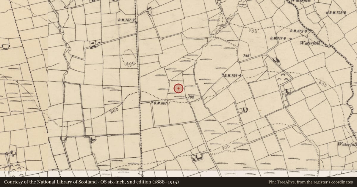 Ordnance Survey six-inch map, 2nd edition (1888–1915) covering the location of Fulacht fia, Horsemountmountain, County Cork, with a pin at the register's coordinates