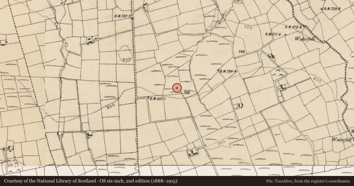 Ordnance Survey six-inch map, 2nd edition (1888–1915) covering the location of Fulacht fia, Horsemountmountain, County Cork, with a pin at the register's coordinates
