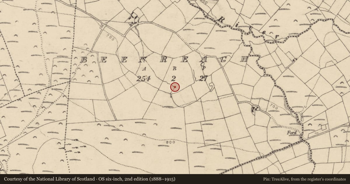 Ordnance Survey six-inch map, 2nd edition (1888–1915) covering the location of Fulacht fia, Beenreagh, County Cork, with a pin at the register's coordinates