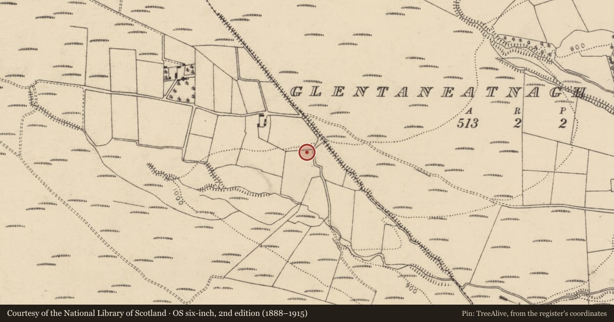 Ordnance Survey six-inch map, 2nd edition (1888–1915) covering the location of Moated site, Inchamay North, County Cork, with a pin at the register's coordinates