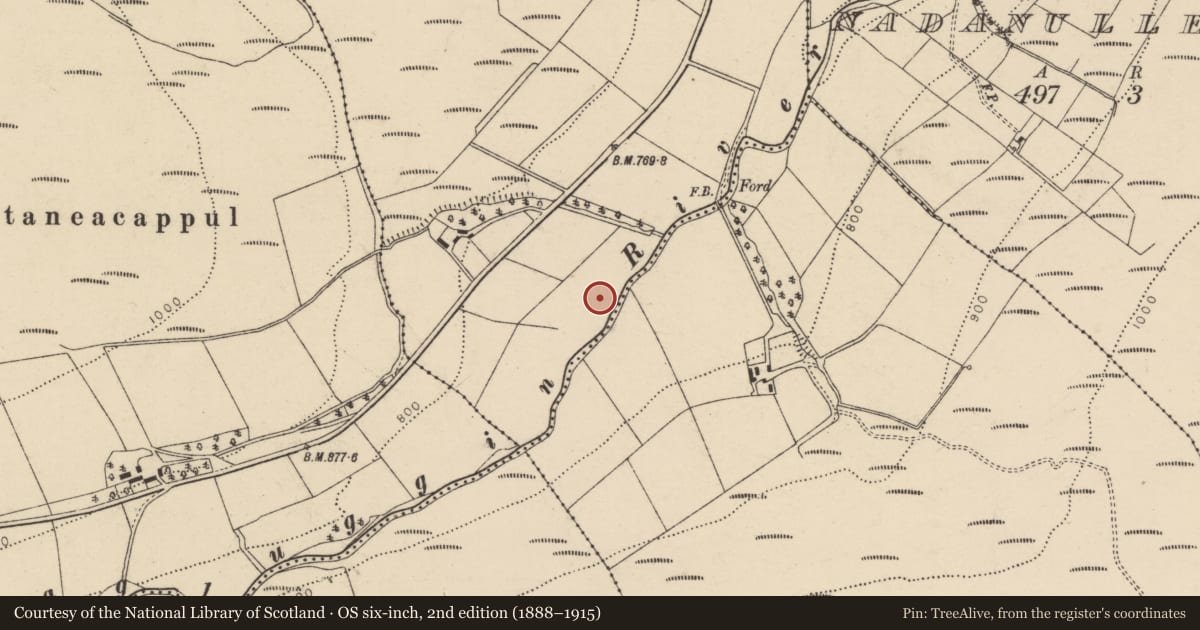 Ordnance Survey six-inch map, 2nd edition (1888–1915) covering the location of Enclosure, Glentaneatnagh North, County Cork, with a pin at the register's coordinates