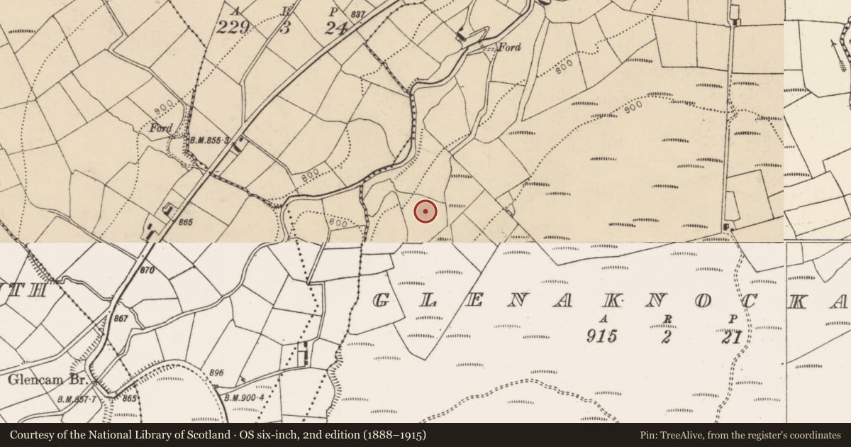 Ordnance Survey six-inch map, 2nd edition (1888–1915) covering the location of Standing stone, Glenaknockane, County Cork, with a pin at the register's coordinates
