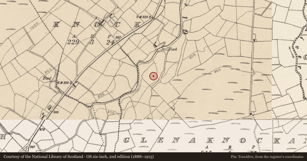 Ordnance Survey six-inch map, 2nd edition (1888–1915) covering the location of Standing stone, Glenaknockane, County Cork, with a pin at the register's coordinates
