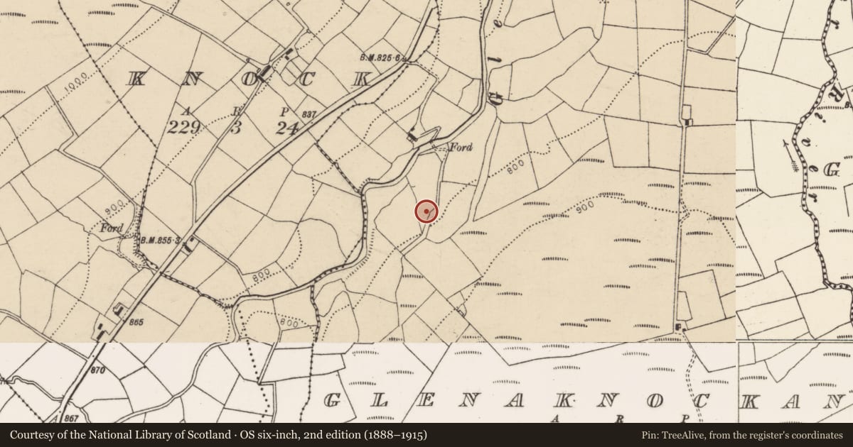 Ordnance Survey six-inch map, 2nd edition (1888–1915) covering the location of Kiln - lime, Glenaknockane, County Cork, with a pin at the register's coordinates