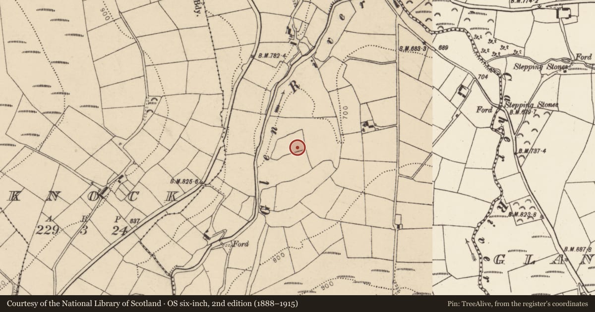 Ordnance Survey six-inch map, 2nd edition (1888–1915) covering the location of Standing stone, Glenaknockane, County Cork, with a pin at the register's coordinates