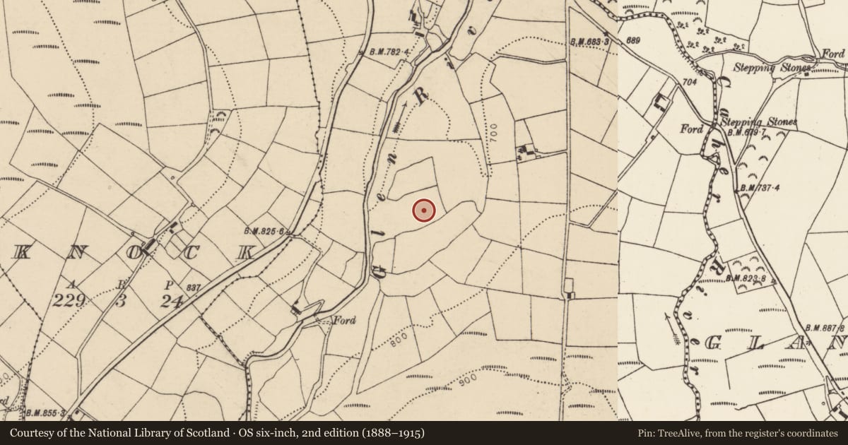 Ordnance Survey six-inch map, 2nd edition (1888–1915) covering the location of Standing stone, Glenaknockane, County Cork, with a pin at the register's coordinates