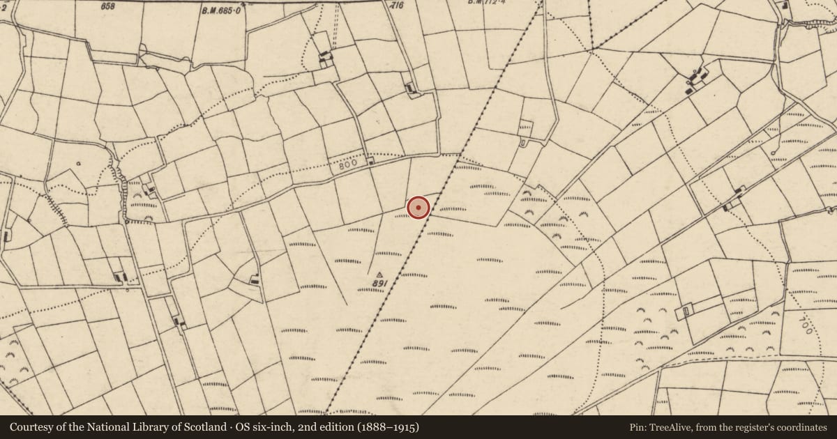 Ordnance Survey six-inch map, 2nd edition (1888–1915) covering the location of Church, Kilmacurrane, County Cork, with a pin at the register's coordinates