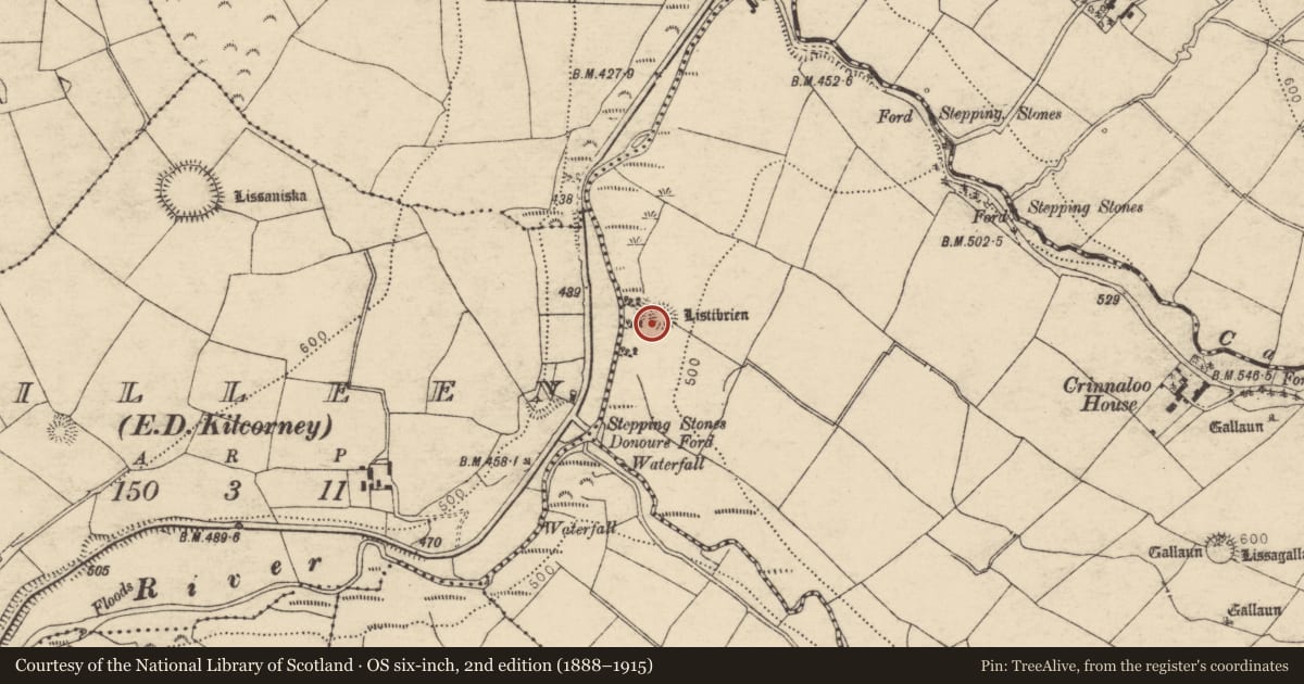 Ordnance Survey six-inch map, 2nd edition (1888–1915) covering the location of Souterrain, Crinnaloo North, County Cork, with a pin at the register's coordinates