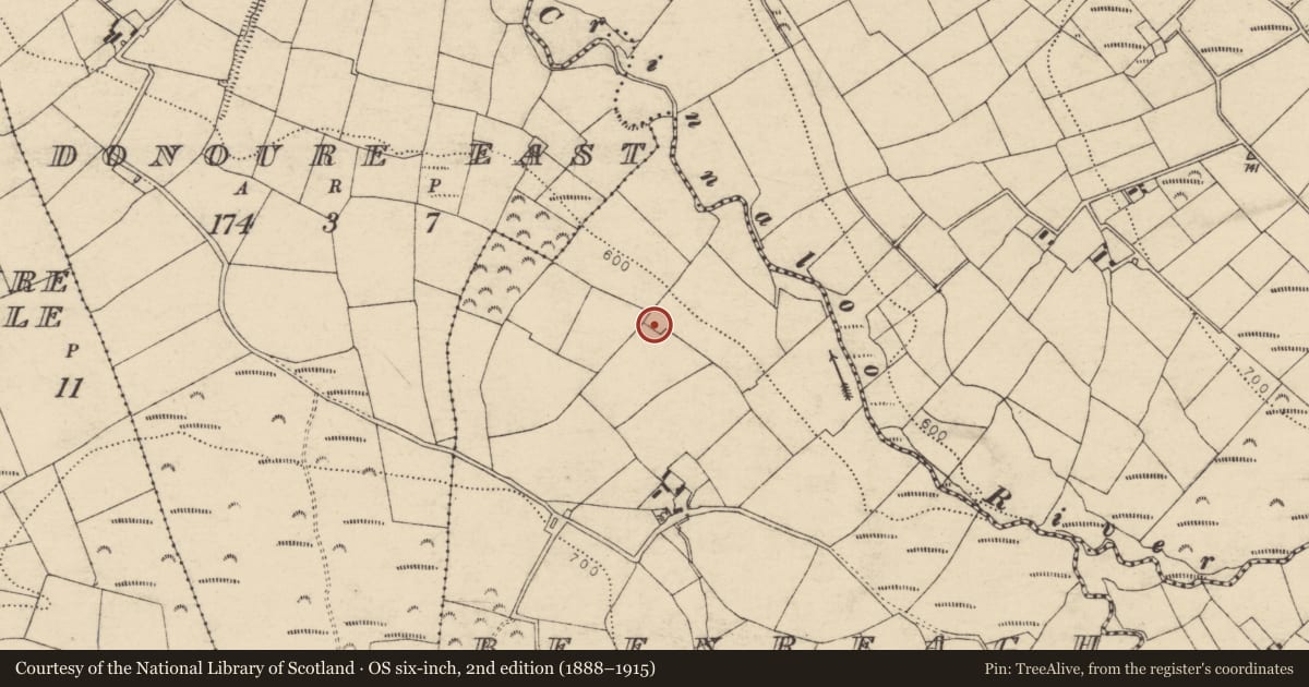 Ordnance Survey six-inch map, 2nd edition (1888–1915) covering the location of Ringfort - rath, Beenreagh, County Cork, with a pin at the register's coordinates