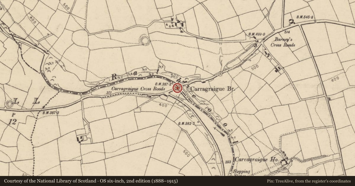 Ordnance Survey six-inch map, 2nd edition (1888–1915) covering the location of Bridge, Carragraigue, Gortnaclogh, County Cork, with a pin at the register's coordinates