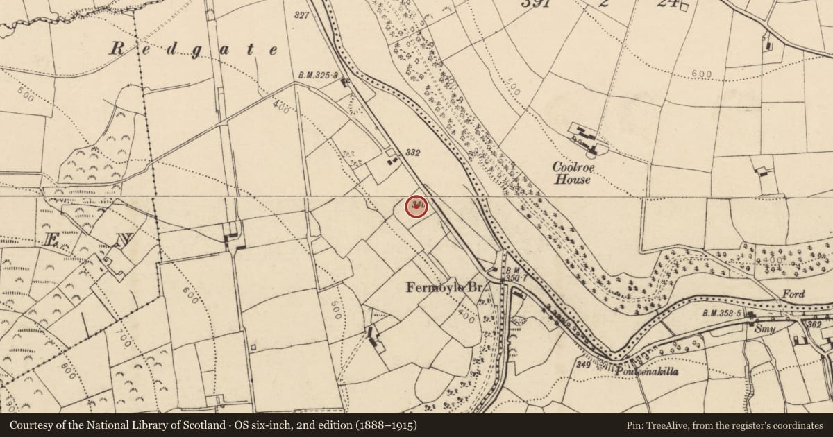 Ordnance Survey six-inch map, 2nd edition (1888–1915) covering the location of Burnt spread, Fermoyle, County Cork, with a pin at the register's coordinates