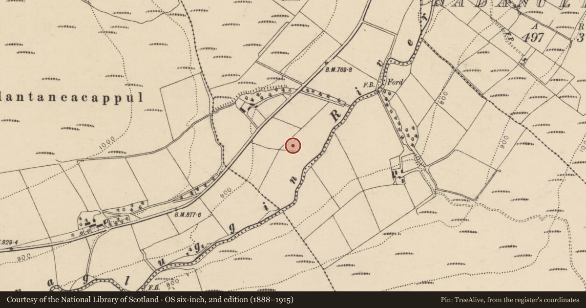 Ordnance Survey six-inch map, 2nd edition (1888–1915) covering the location of Fulacht fia, Glentaneatnagh North, County Cork, with a pin at the register's coordinates