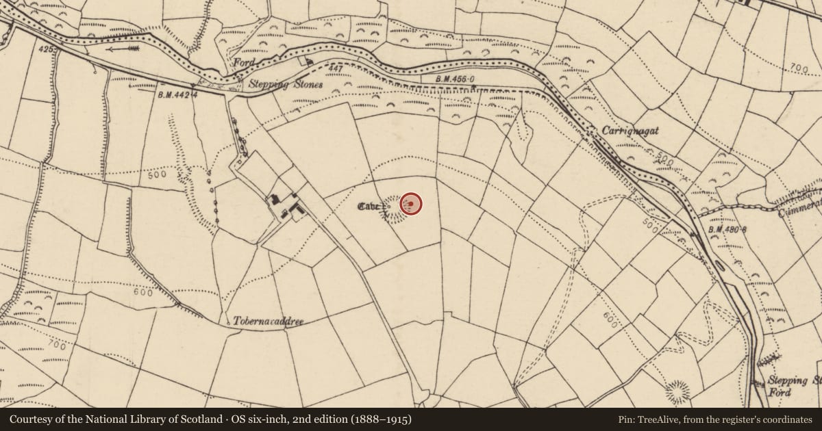 Ordnance Survey six-inch map, 2nd edition (1888–1915) covering the location of Fulacht fia, Glen South, County Cork, with a pin at the register's coordinates