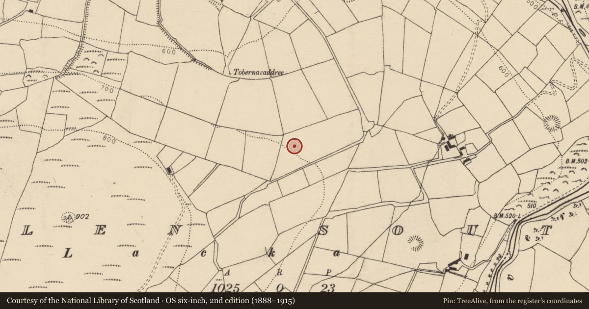 Ordnance Survey six-inch map, 2nd edition (1888–1915) covering the location of Fulacht fia, Glen South, County Cork, with a pin at the register's coordinates