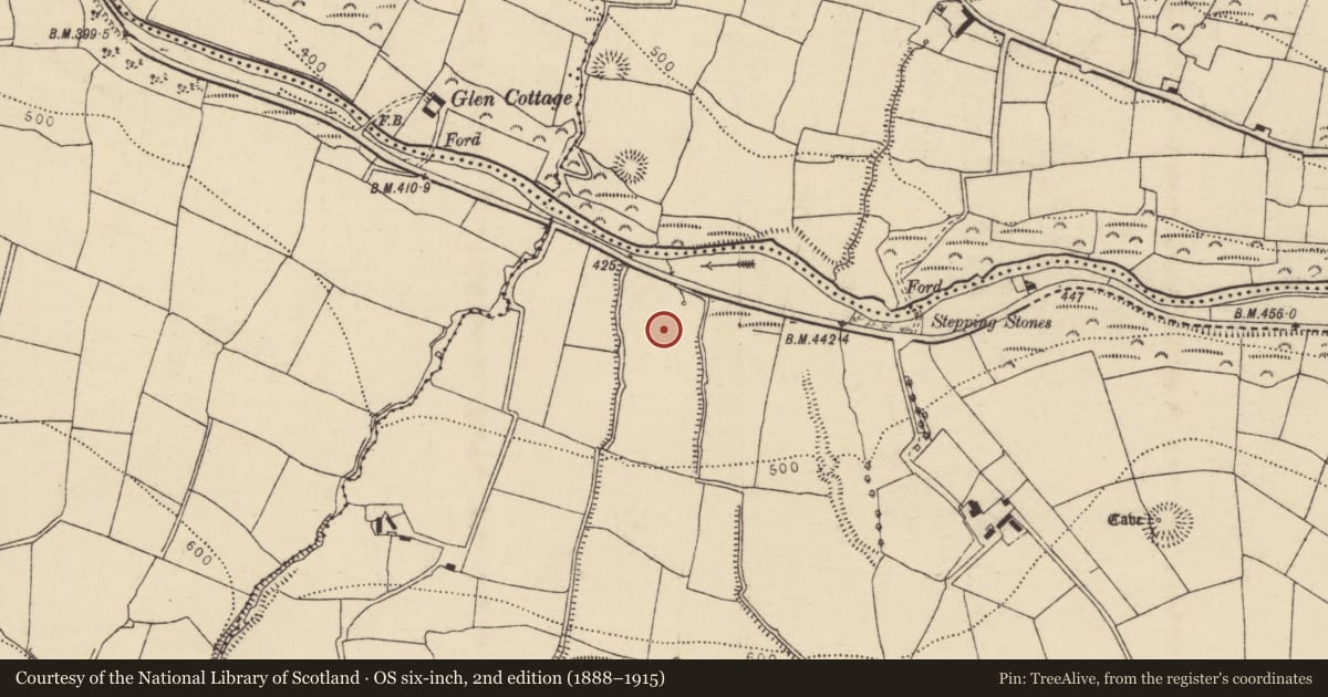 Ordnance Survey six-inch map, 2nd edition (1888–1915) covering the location of Fulacht fia, Glen South, County Cork, with a pin at the register's coordinates