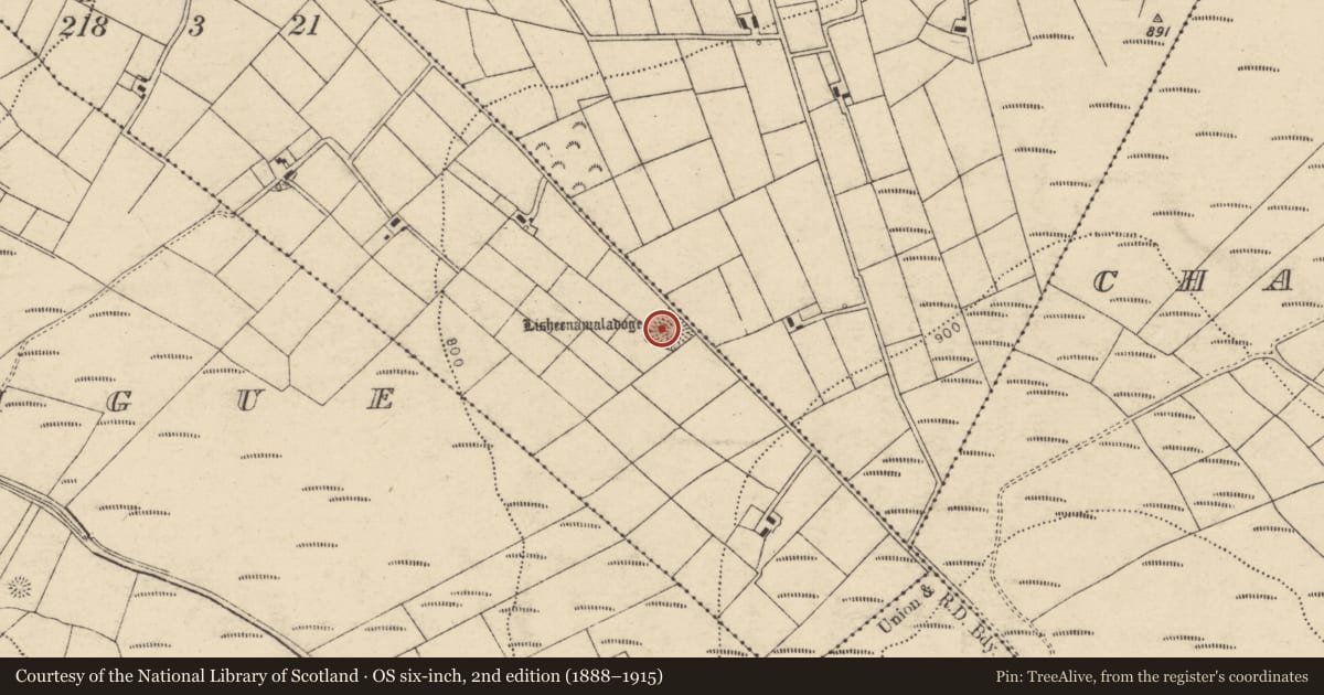 Ordnance Survey six-inch map, 2nd edition (1888–1915) covering the location of Barrow - ring-barrow, Muingyroogeen, County Cork, with a pin at the register's coordinates