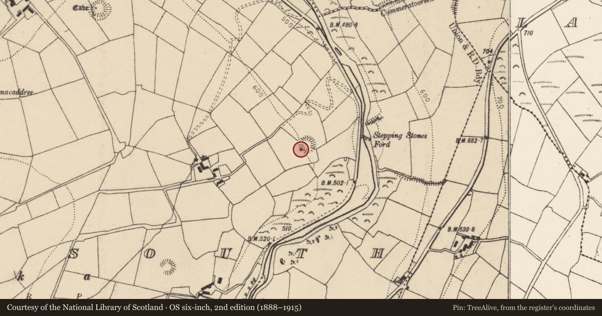 Ordnance Survey six-inch map, 2nd edition (1888–1915) covering the location of Kiln - lime, Glen South, County Cork, with a pin at the register's coordinates