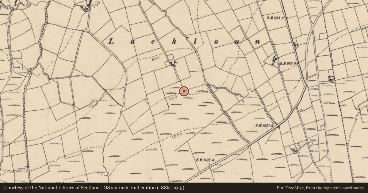 Ordnance Survey six-inch map, 2nd edition (1888–1915) covering the location of Enclosure, Coolroe More, County Cork, with a pin at the register's coordinates