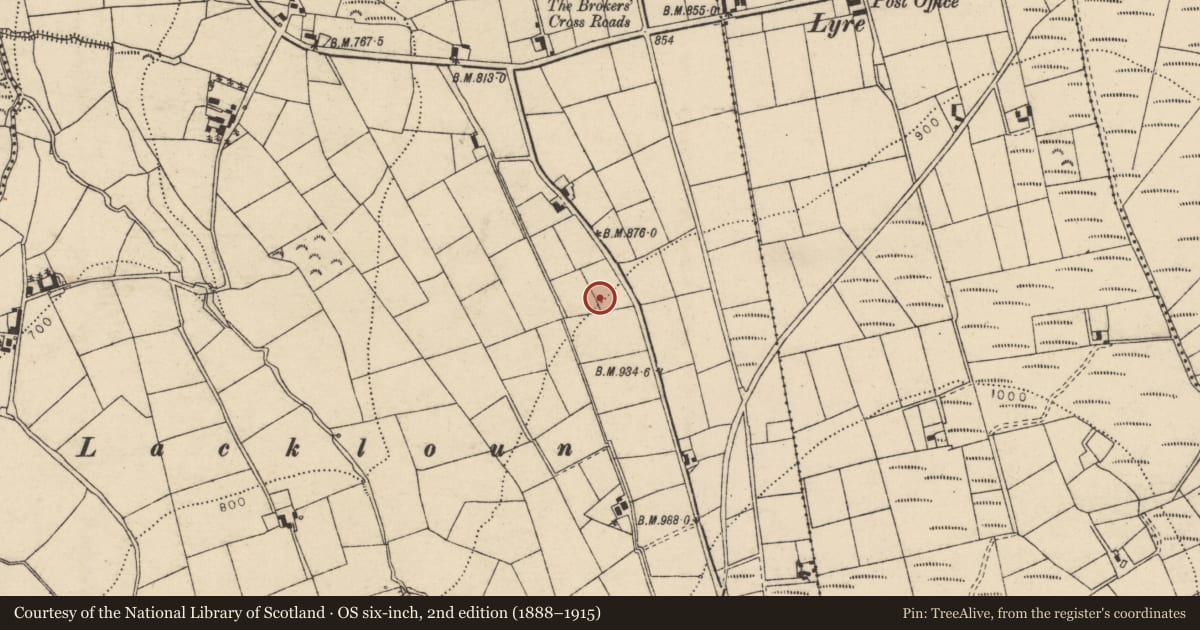 Ordnance Survey six-inch map, 2nd edition (1888–1915) covering the location of Bridge, Coolroe More, County Cork, with a pin at the register's coordinates
