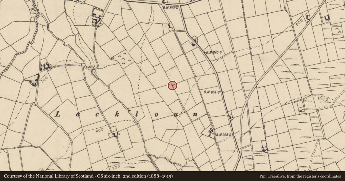 Ordnance Survey six-inch map, 2nd edition (1888–1915) covering the location of Burial ground, Coolroe More, County Cork, with a pin at the register's coordinates