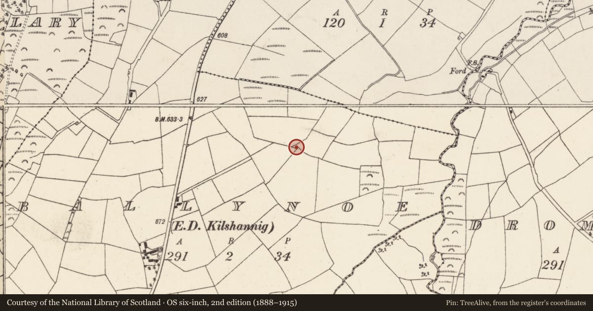 Ordnance Survey six-inch map, 2nd edition (1888–1915) covering the location of Burial ground, Ballynoe (Duhallow By., Kilshannig Par.), County Cork, with a pin at the register's coordinates