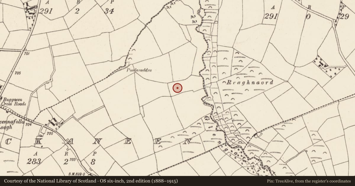 Ordnance Survey six-inch map, 2nd edition (1888–1915) covering the location of Fulacht fia, Lackaneen, County Cork, with a pin at the register's coordinates