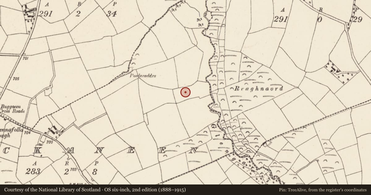 Ordnance Survey six-inch map, 2nd edition (1888–1915) covering the location of Fulacht fia, Lackaneen, County Cork, with a pin at the register's coordinates