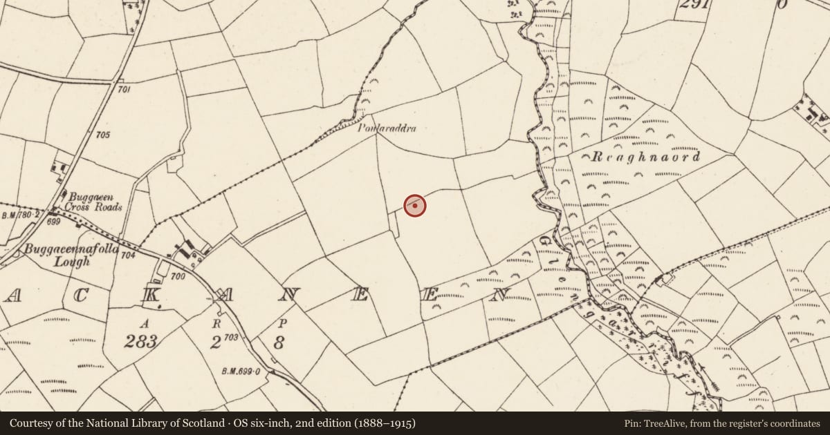 Ordnance Survey six-inch map, 2nd edition (1888–1915) covering the location of Fulacht fia, Lackaneen, County Cork, with a pin at the register's coordinates
