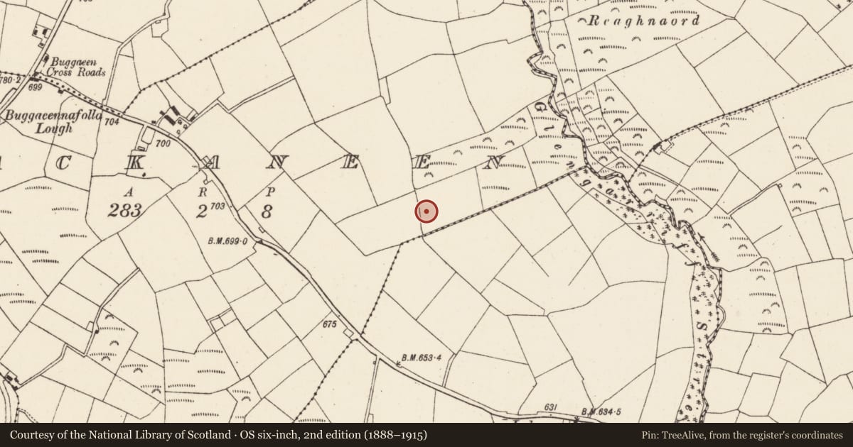 Ordnance Survey six-inch map, 2nd edition (1888–1915) covering the location of Fulacht fia, Lackaneen, County Cork, with a pin at the register's coordinates