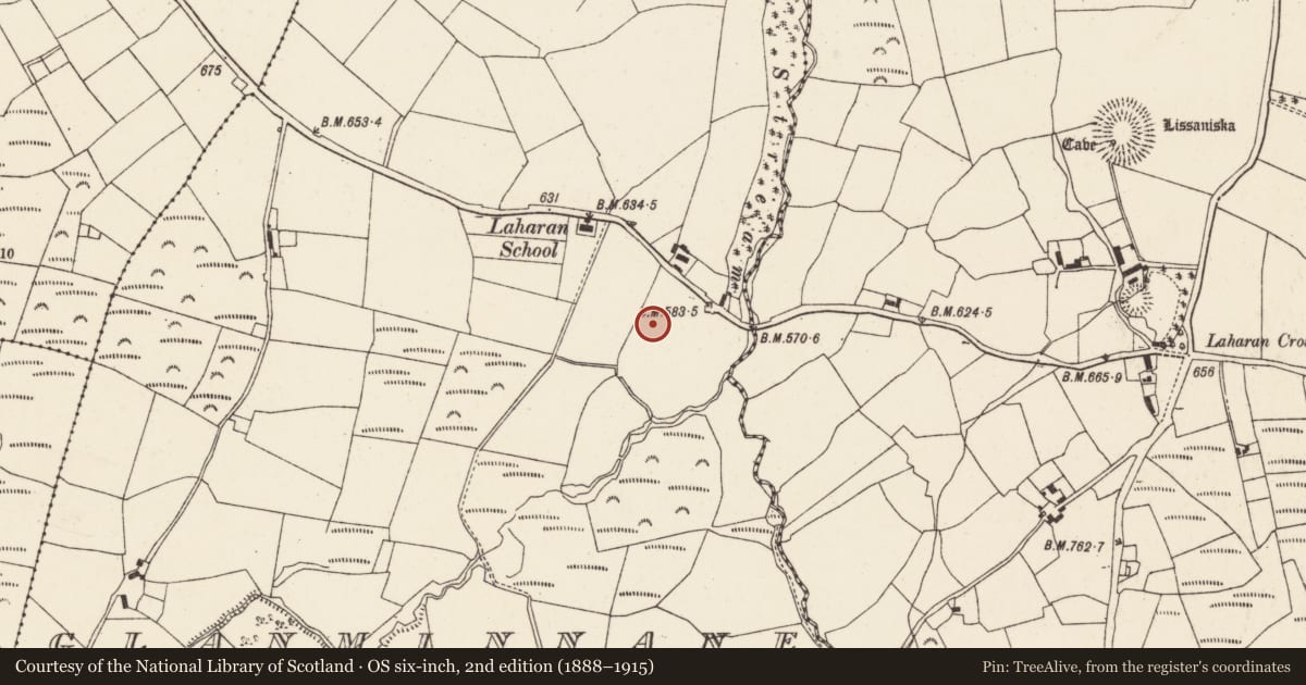 Ordnance Survey six-inch map, 2nd edition (1888–1915) covering the location of Standing stone, Glanminnane, County Cork, with a pin at the register's coordinates