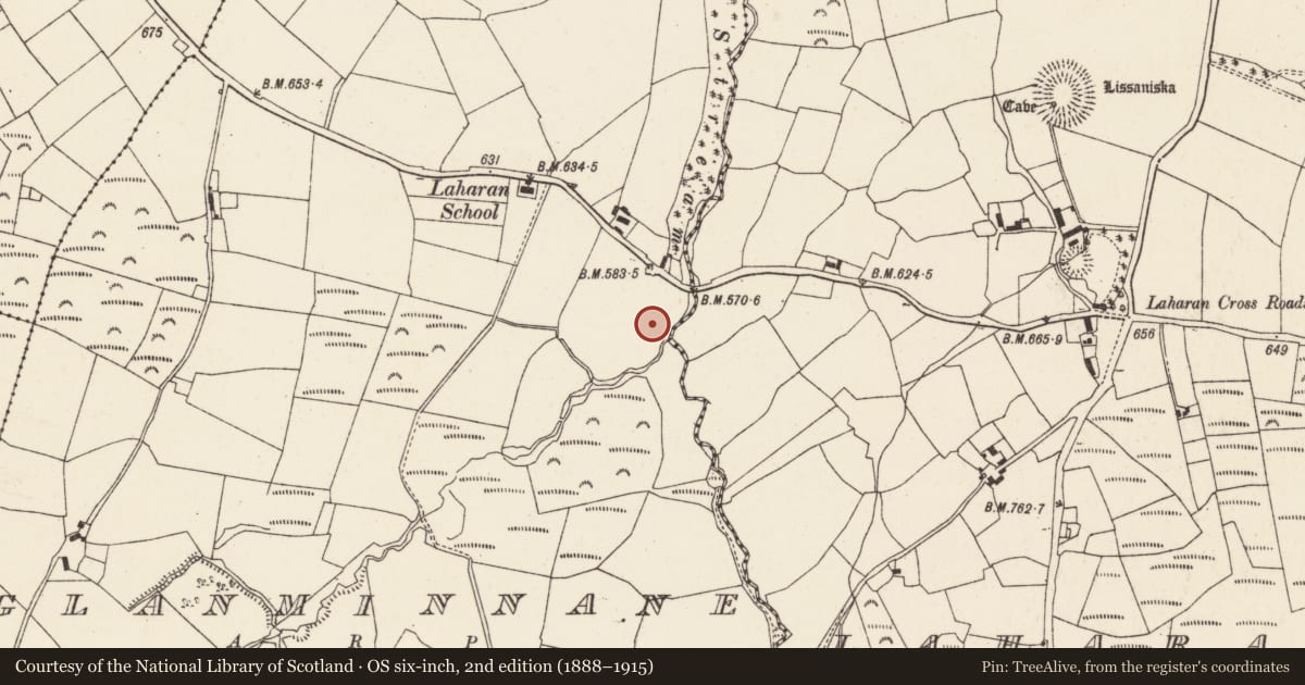 Ordnance Survey six-inch map, 2nd edition (1888–1915) covering the location of Burial ground, Glanminnane, County Cork, with a pin at the register's coordinates