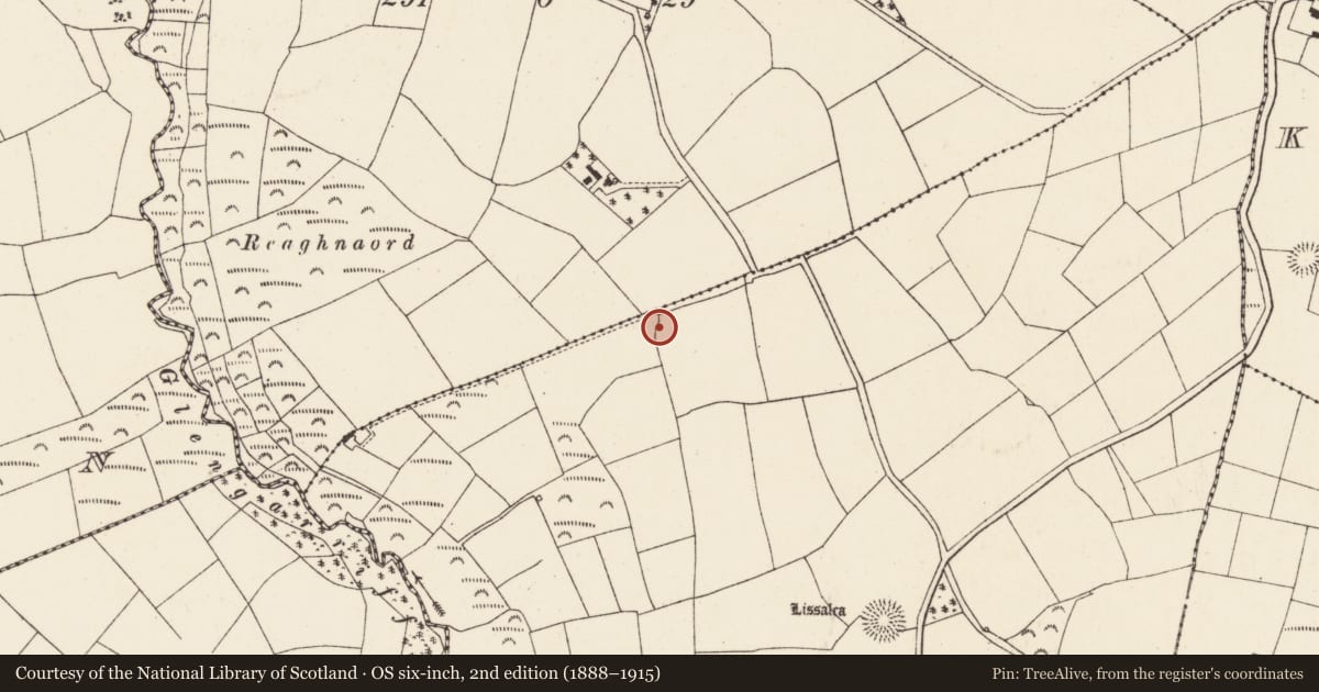 Ordnance Survey six-inch map, 2nd edition (1888–1915) covering the location of Ringfort - rath, Laharan, County Cork, with a pin at the register's coordinates