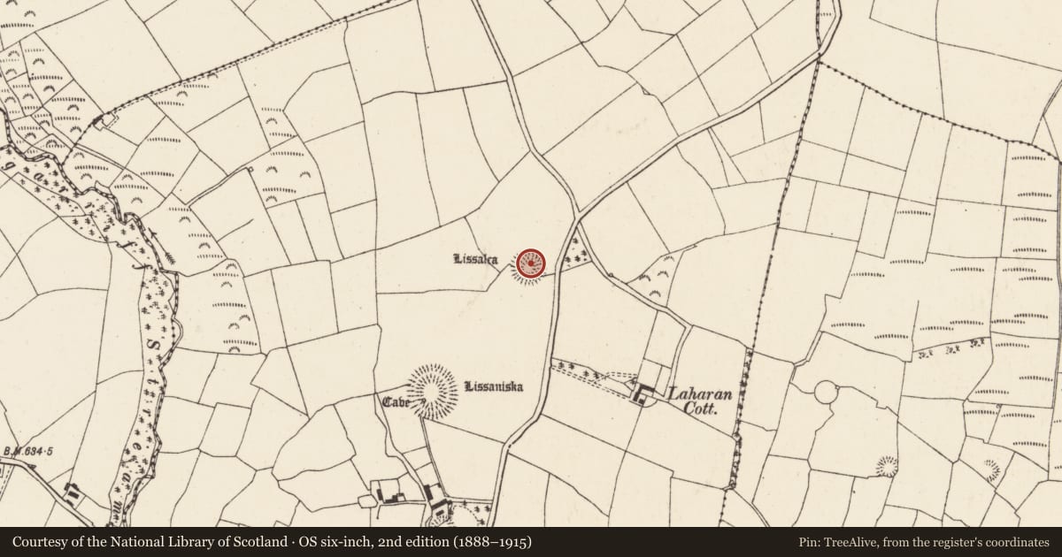 Ordnance Survey six-inch map, 2nd edition (1888–1915) covering the location of Souterrain, Laharan, County Cork, with a pin at the register's coordinates