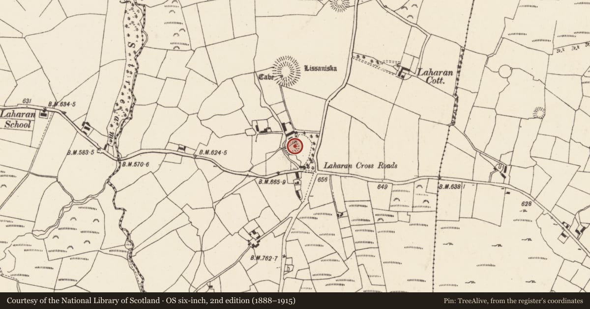 Ordnance Survey six-inch map, 2nd edition (1888–1915) covering the location of Ringfort - rath, Laharan, County Cork, with a pin at the register's coordinates
