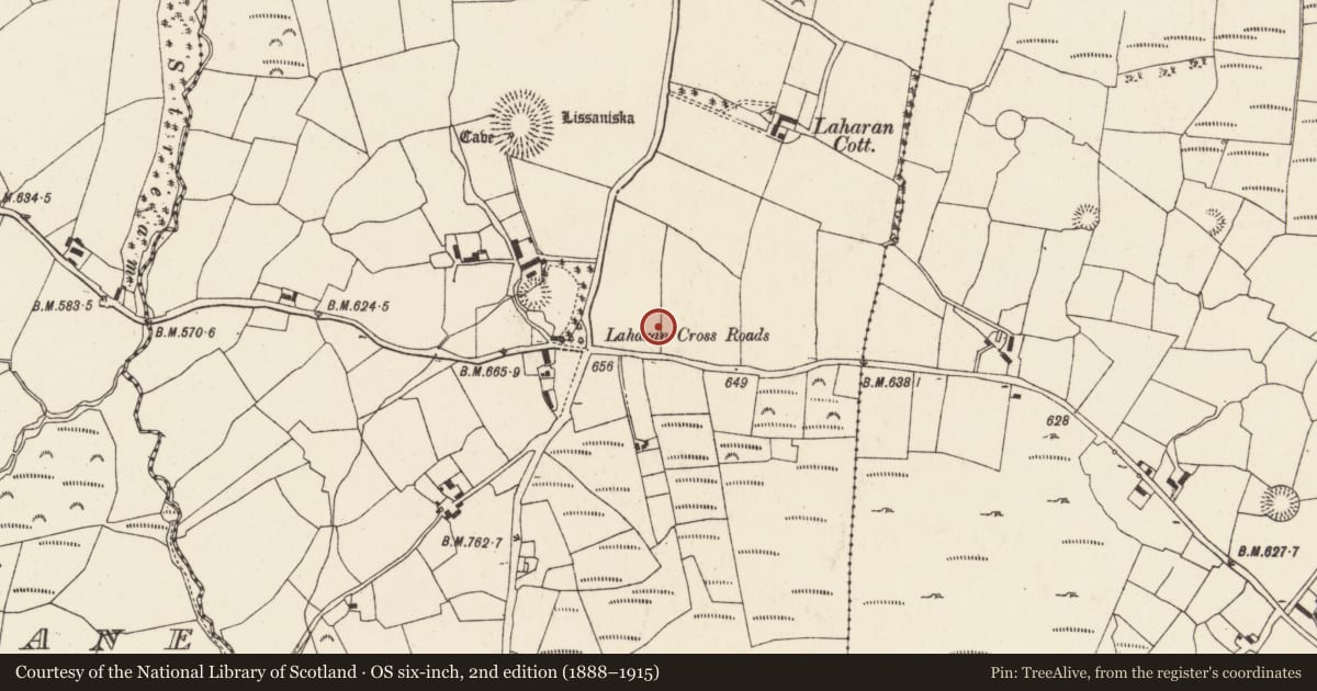Ordnance Survey six-inch map, 2nd edition (1888–1915) covering the location of Ringfort - rath, Laharan, County Cork, with a pin at the register's coordinates